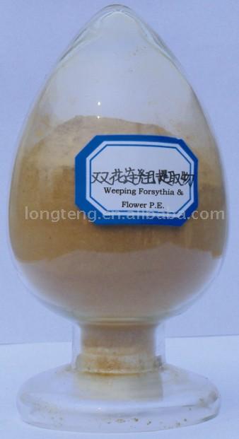 Weeping Forsythia & Flower P.E. - Herbal Extracts